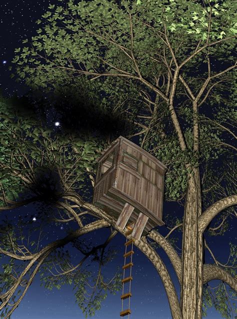 Nature's Secret: Unveiling the Charms of the Treehouse in the Woods